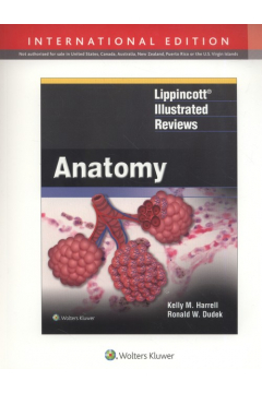 Lippincott Illustrated Reviews. Anatomy