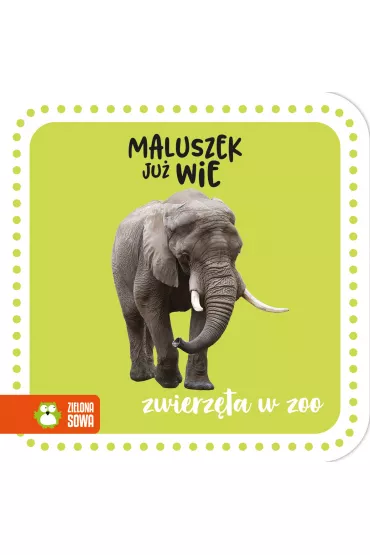 Maluszek ju� wie. Zwierz�ta w zoo
