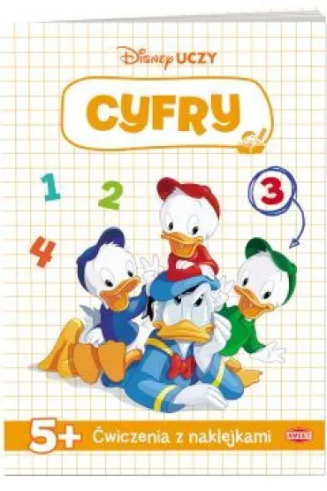 DISNEY UCZY CYFRY B5 DISNEY AMEET