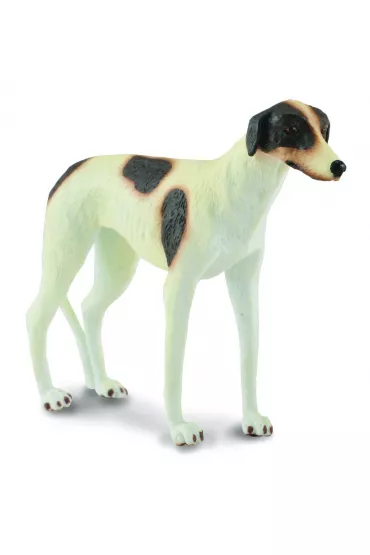COLLECTA PIES RASY CHART ROZMIAR L BPZ-COLLECTA
