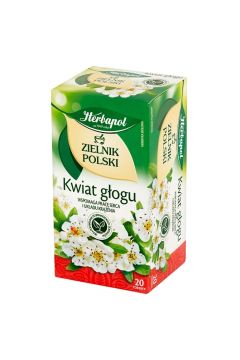 Herbapol Herbatka zioowa Kwiat gogu Zielnik Polski 20 x 2 g