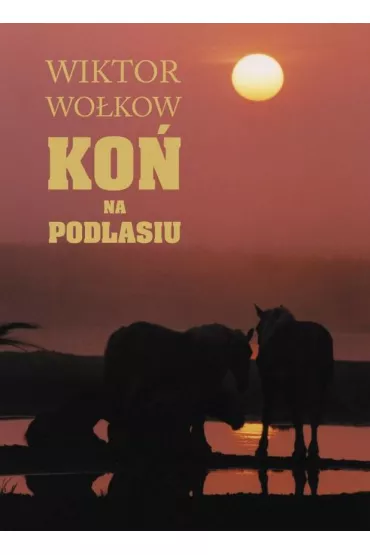Ko� na Podlasiu - Andrzej Strumi��o, Wiktor Wo�kow