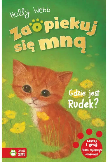 Gdzie jest Rudek? Zaopiekuj si� mn� - Holly Webb