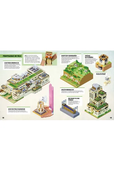 Minecraft. Niesamowite projekty - Thomas  McBrien, Swampbaron