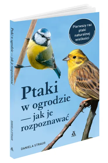 Ptaki w ogrodzie - jak je rozpoznawa� - Daniela Strauss
