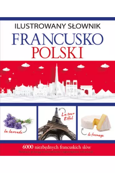 Ilustrowany s�ownik francusko-polski - Tadeusz Wo�niak