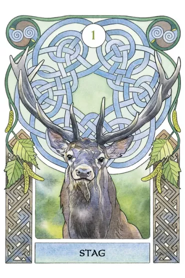 Celtic Astrology, karty do wr�enia - Lunaea Weatherstone, Antonelli Castelli