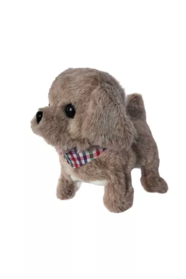 Tw�j pupilek piesek Askato
