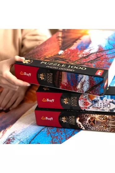 Puzzle 1000 el. Wie�a Eiffel w Pary�u, Francja Trefl