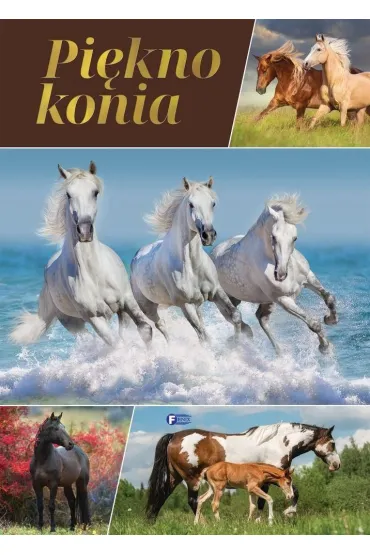 Pi�kno konia