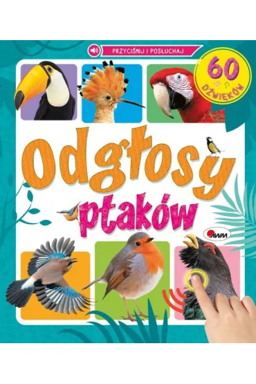 KSIAZECZKA EDUK 240X280 PDGLOSY PTAKOW AWM