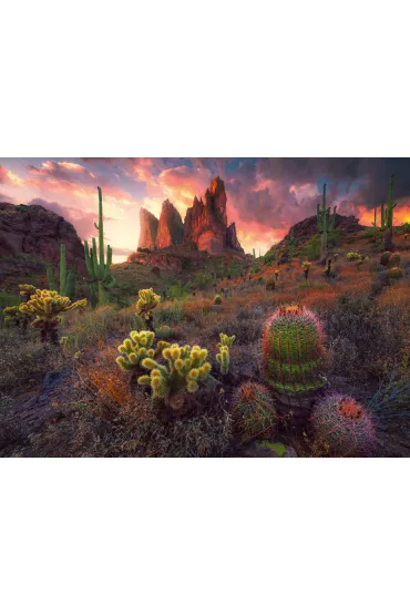 Puzzle 500 el. Kaktusy Ravensburger