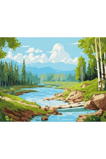 Ideyka Malowanie po numerach - W brzozowym gaju 40x50cm