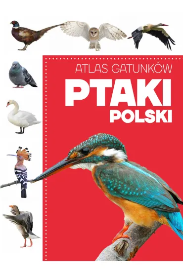 Atlas gatunk�w. Ptaki Polski - Anna Przyby�owicz, �ukasz Przyby�owicz