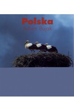 Polska - Bujak Adam (twarda oprawa) - Adam Bujak