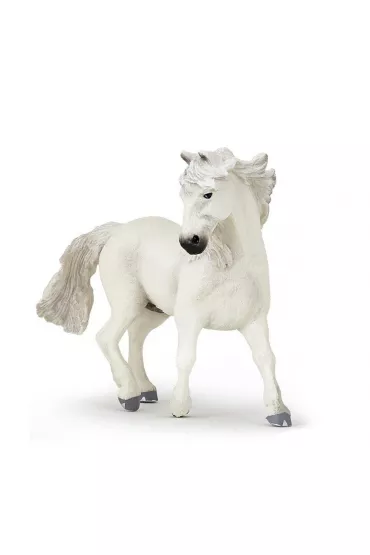 Ko� Camargue