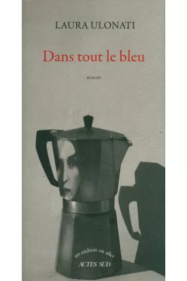 Dans tout le bleu - Laura  Ulonati