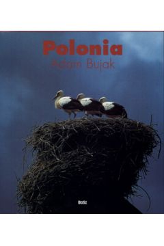 Polska /w.w�oska/Polonia