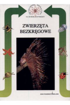 Zwierz�ta bezkr�gowe - Carpaneto Giuseppe Maria - Maria Carpaneto Giuseppe