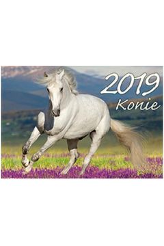 Morex Kalendarz 2019 Konie KA2