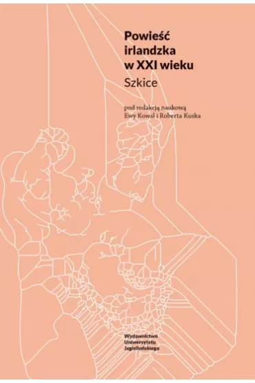 Powie�� irlandzka w XXI wieku. Szkice - Robert Kusek, Ewa Kowal
