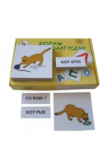 Zestaw dydaktyczny. Co robi kot?