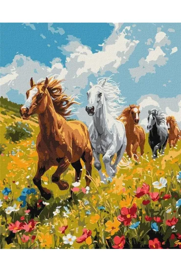 Ideyka Malowanie po numerach - Polowa harmonia 40x50cm