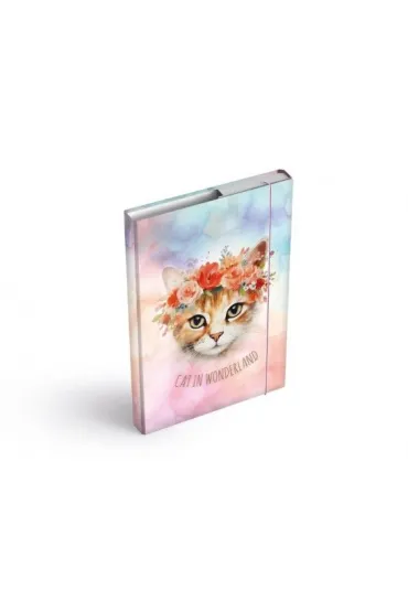 MFP Teczka skrzyd�owa z gumk� A4 box Kot