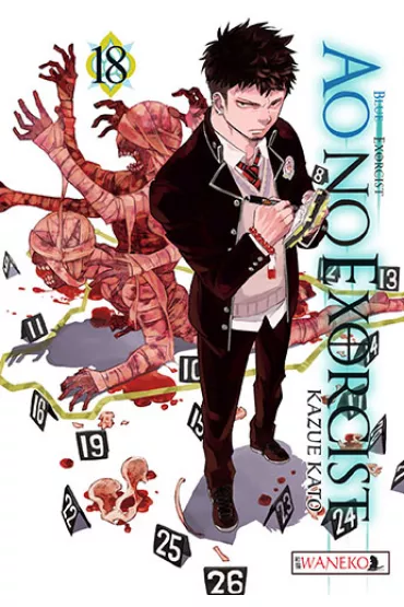 Ao No Exorcist. Tom 18 - Kazue Kato