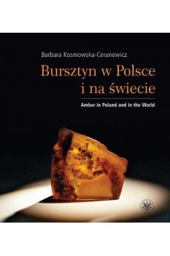 eBook Bursztyn w Polsce i na wiecie pdf