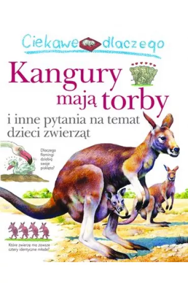 Ciekawe dlaczego Kangury maj� torby i inne pytania na temat dzieci zwierz�t - Jenny Wood