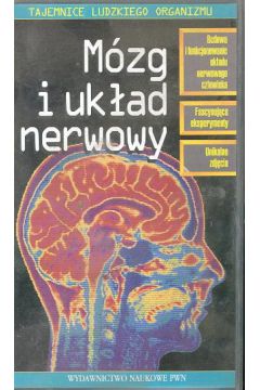 M�zg i uk�ad nerwowy