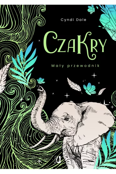 eBook Czakry. Ma�y przewodnik mobi epub - Cyndi Dale