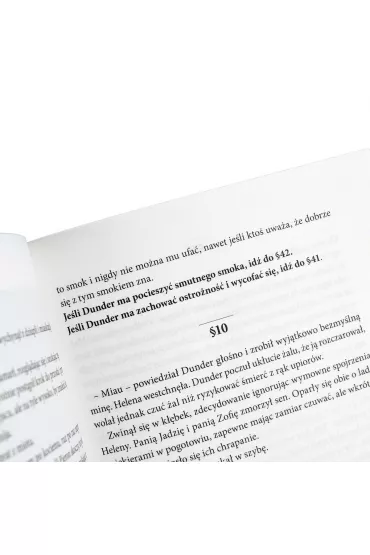 Dunder albo kot z za�wiatu - Radek Rak