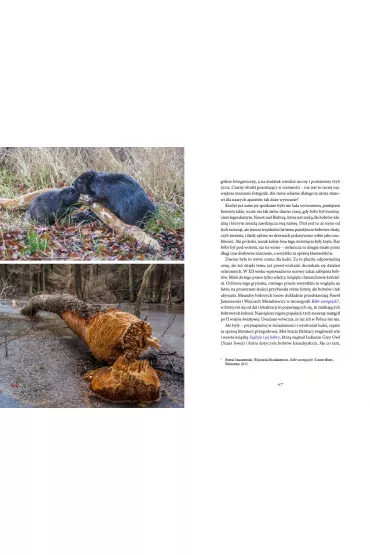Bracia mniejsi i wi�ksi. Opowie�ci o mieszka�cach z krainy Biebrzy i nie tylko - Grzegorz K�osowski, Tomasz K�osowski