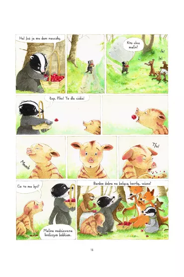 M�j pierwszy komiks 5+ Emocje. Pan Borsuk i pani Lisica przedstawiaj�. Tom 1 - Brigitte Luciani, Eve  Tharlet