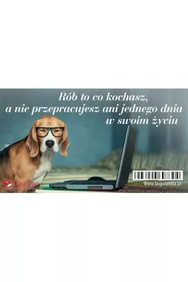 Bogulandia Magnes na lod�wk� - R�b to co kochasz?