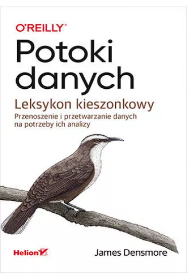 Potoki danych. Leksykon kieszonkowy. Przenoszenie i przetwarzanie danych na potrzeby ich analizy - James Densmore