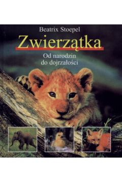 Zwierz�tka Od narodzin do dojrza�o�ci - Stoepel Beatrix - Beatrix Stoepel