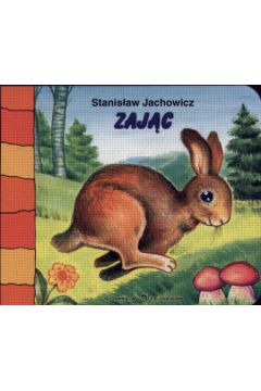 Zaj�c - Jachowicz Stanis�aw (twarda oprawa)