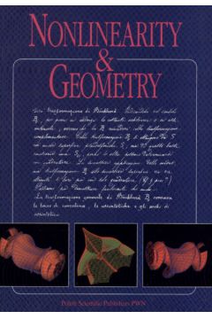 Nonlinearity and Geometry