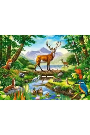 Puzzle 300 el. Le�na harmonia Castorland