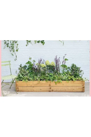 The Instant Garden - Alexandra  Hollingsworth, Henry  Bartlam