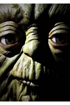 Face It! Star Wars Gwiezdne Wojny - Master Yoda - plakat 60x80 cm