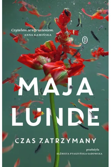 Czas zatrzymany - Maja Lunde