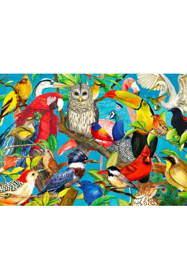Puzzle 1000 el. Kolorowe ptaki Enjoy