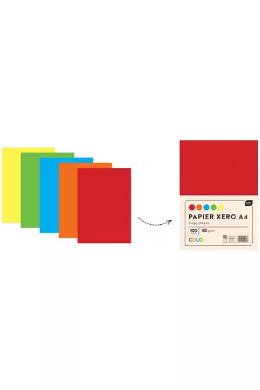 Interdruk Papier ksero A4 5 kolor�w