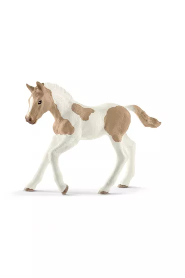 �rebi� rasy Paint Foal