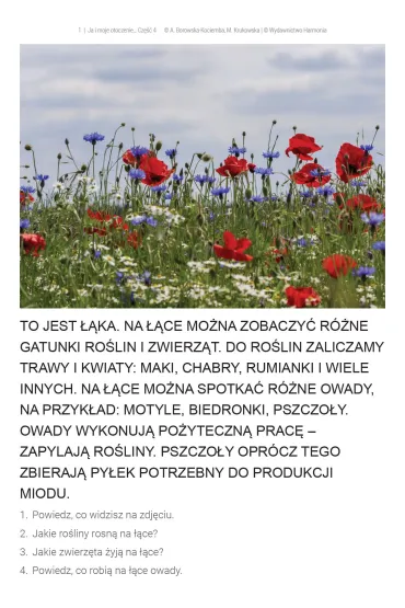 Ja i moje otoczenie. Karty pracy dla uczni�w z niepe�nosprawno�ci� intelektualn�. Cz�� 3 i 4 - Agnieszka Borowska-Kociemba, Ma�gorzata Krukowska
