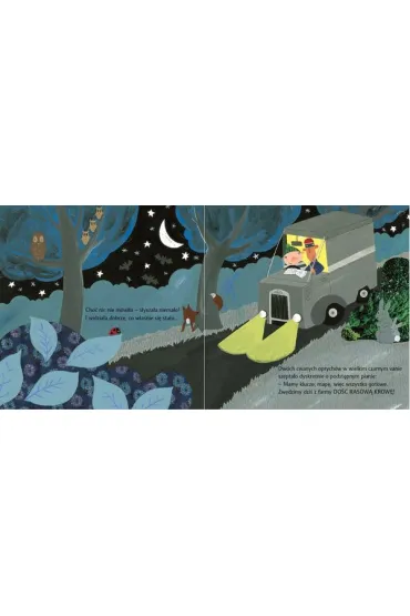 Co us�ysza�a biedronka - Julia Donaldson, Lydia Monks